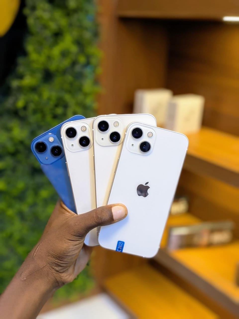 Iphone 13 plain