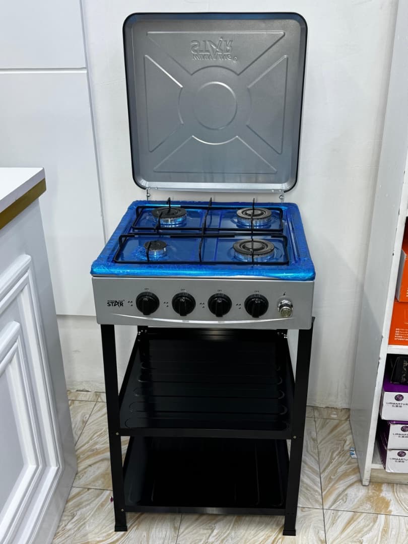 electric gas cooker