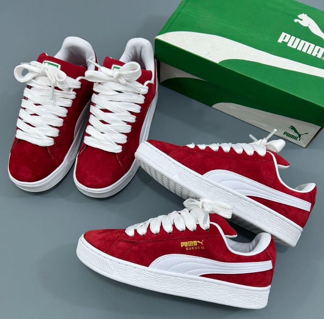 Puma raba