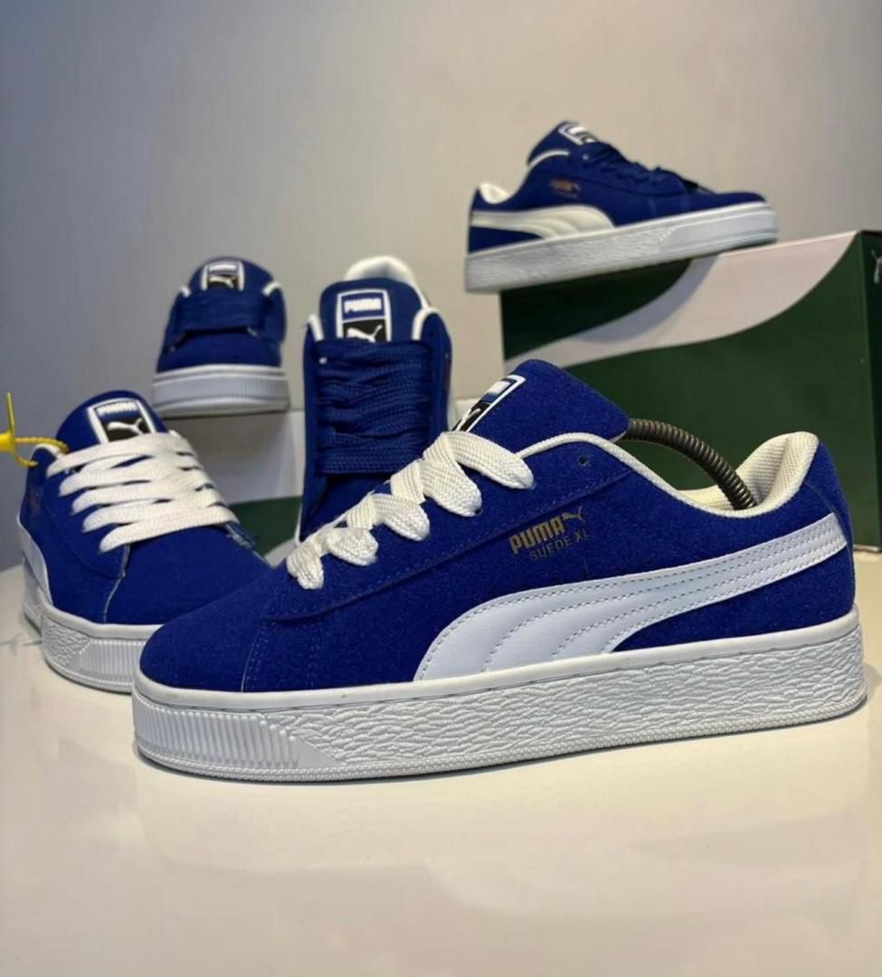 Puma raba