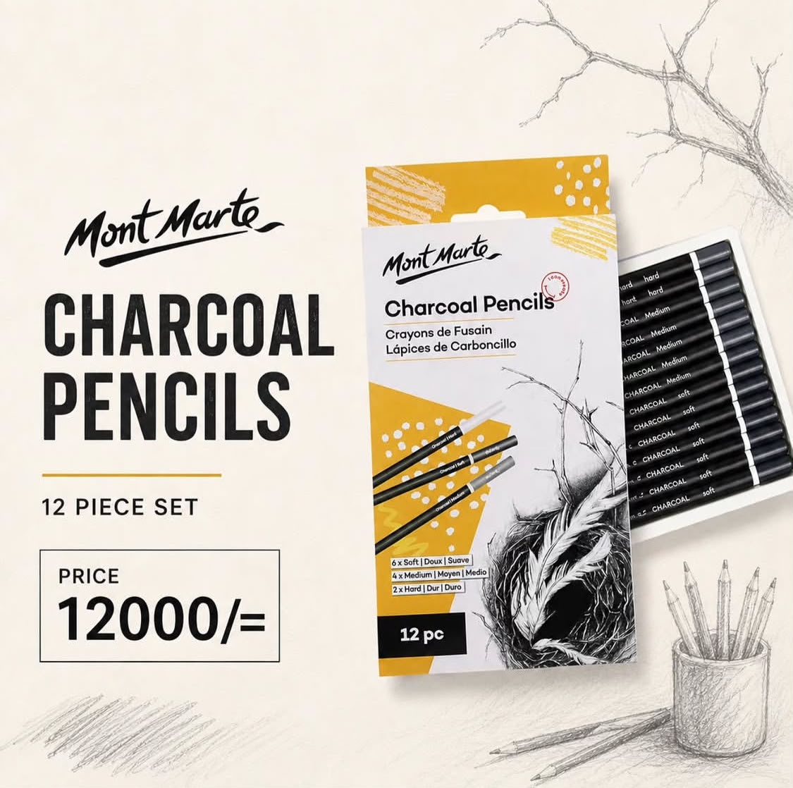 Charcoal pencils set