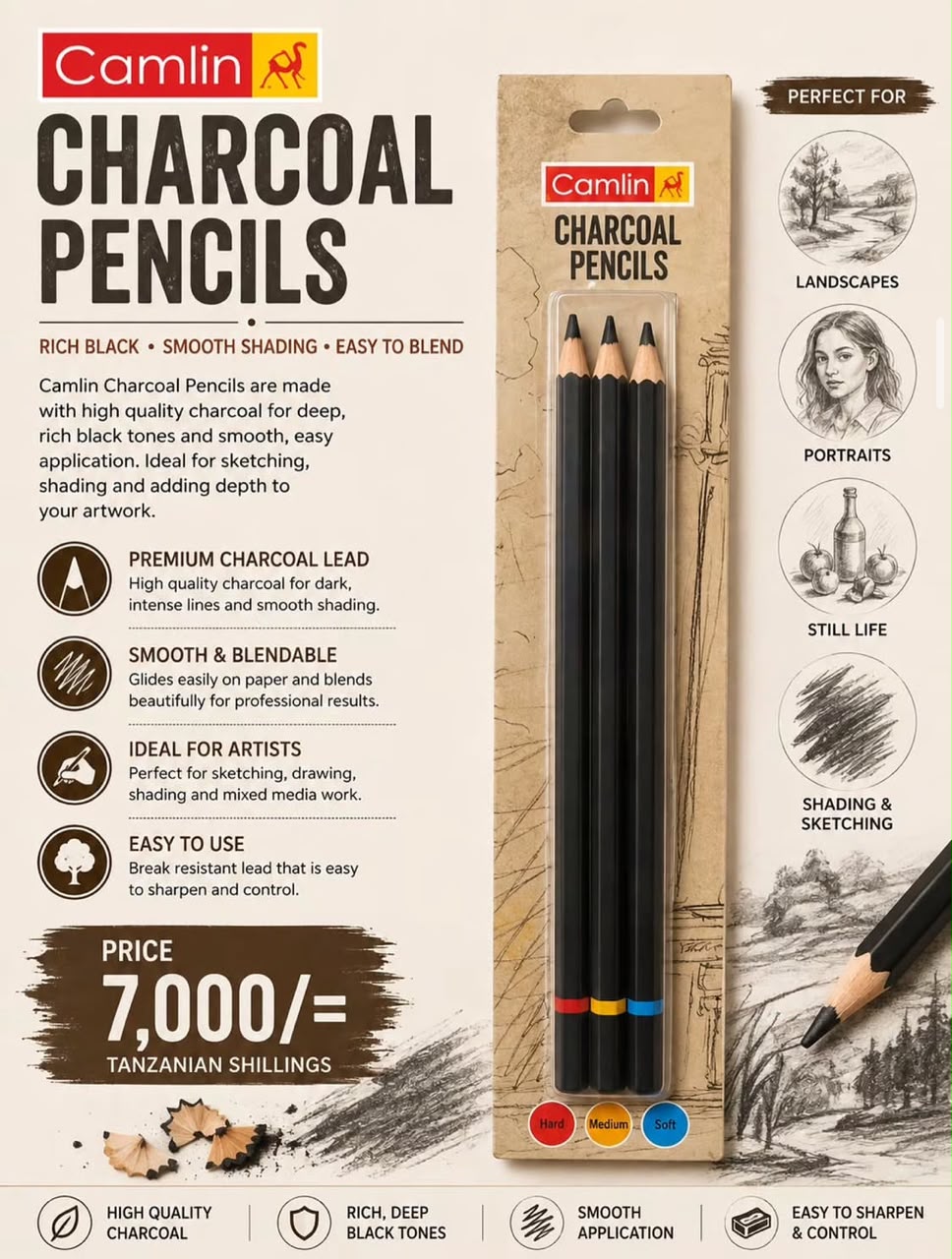 Camlin charcoal pencils
