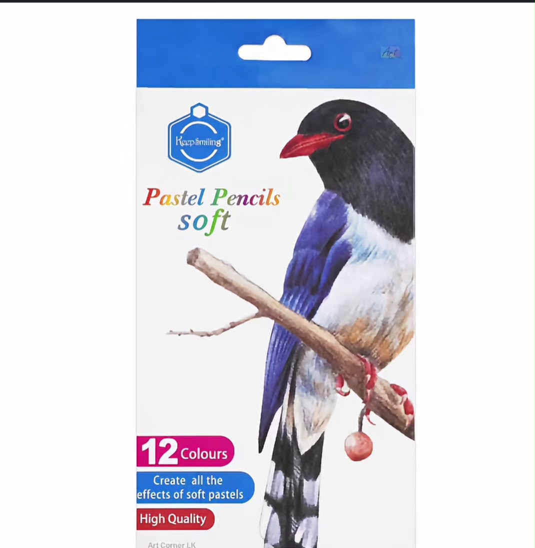 Pastel pencils set