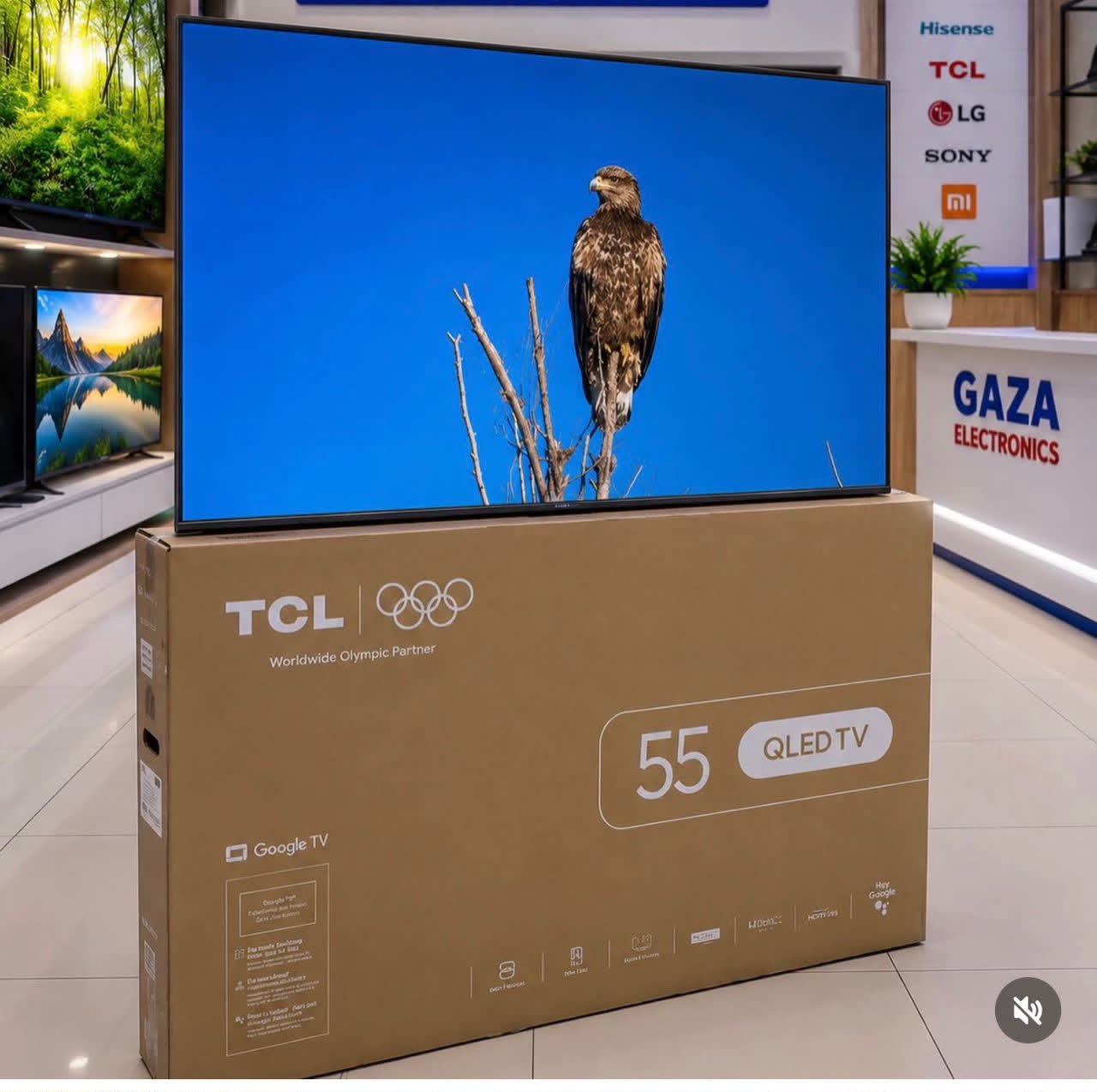 TCL inch 55 QLED