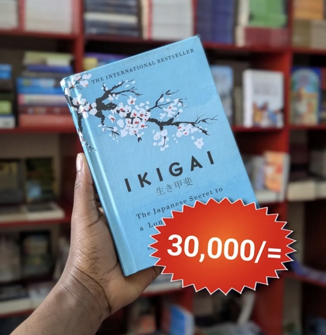 Ikigai