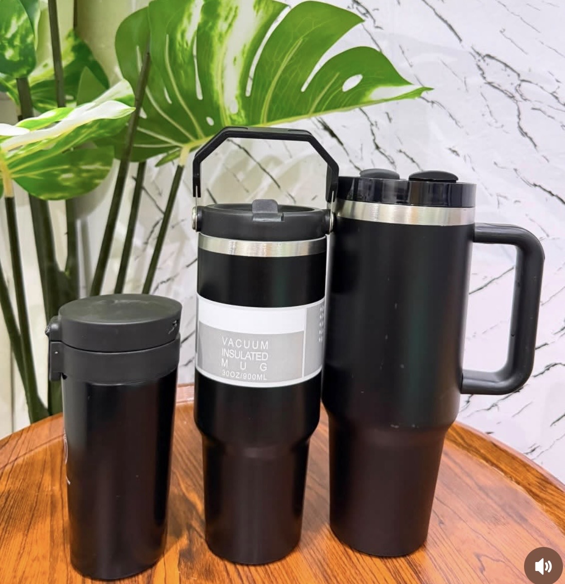 vacuum mug