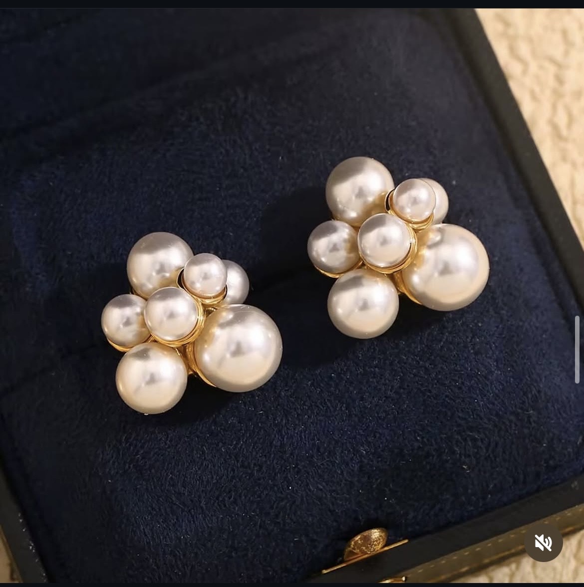 briyana earing