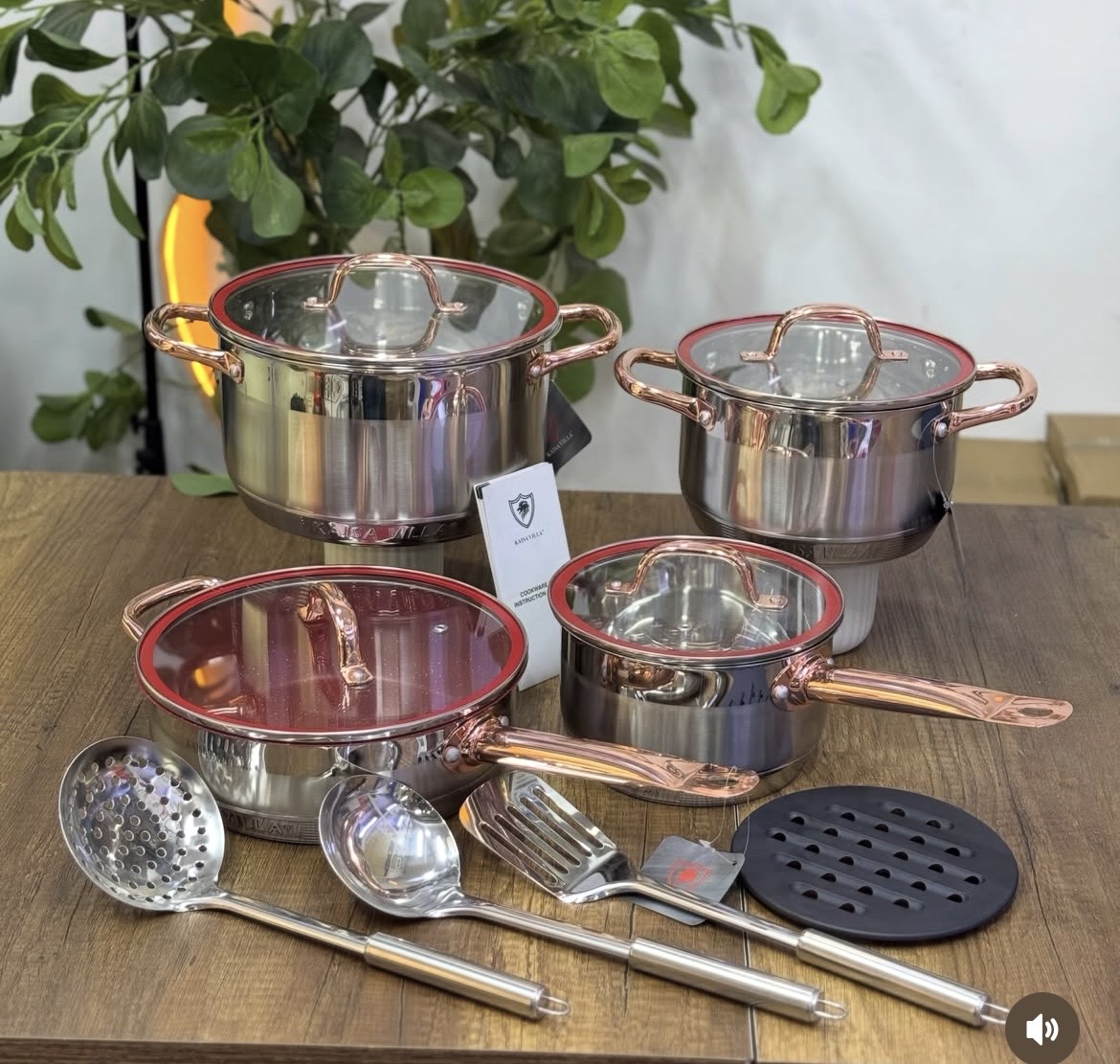 stainless steel cooking pot