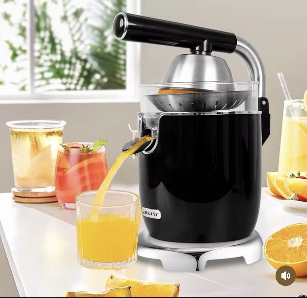 citrus juicer