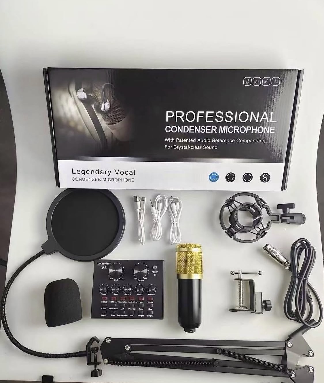 Professional condenser microphone