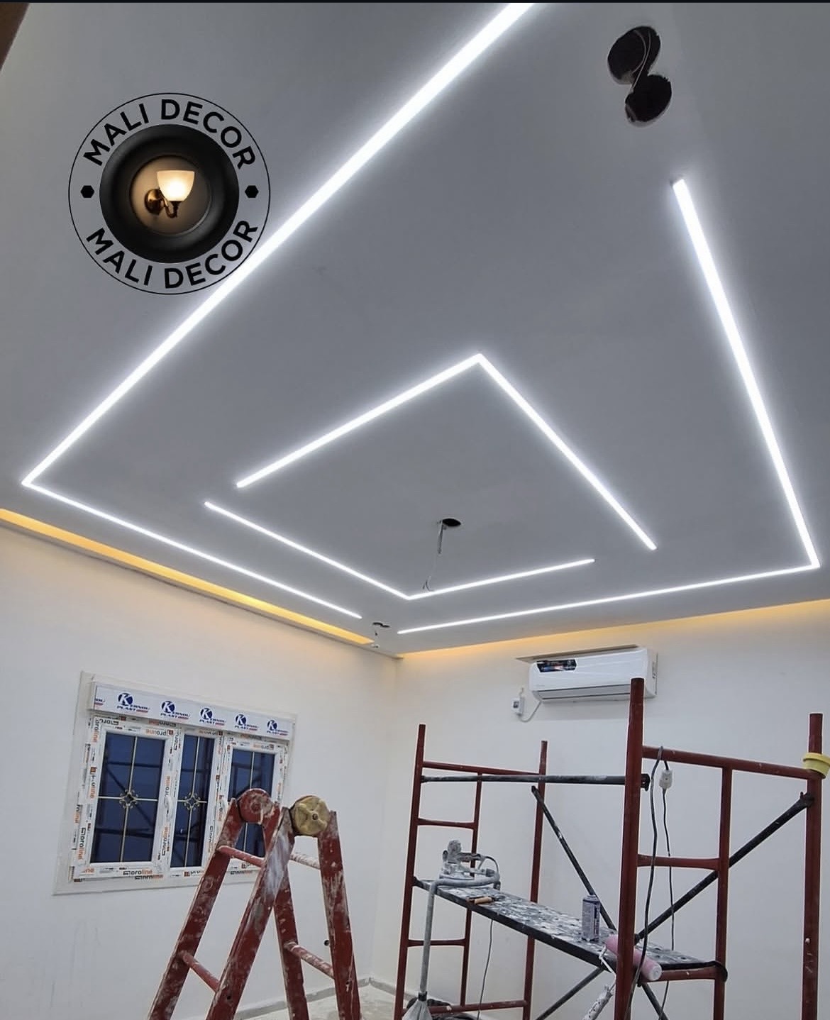 magnetic light