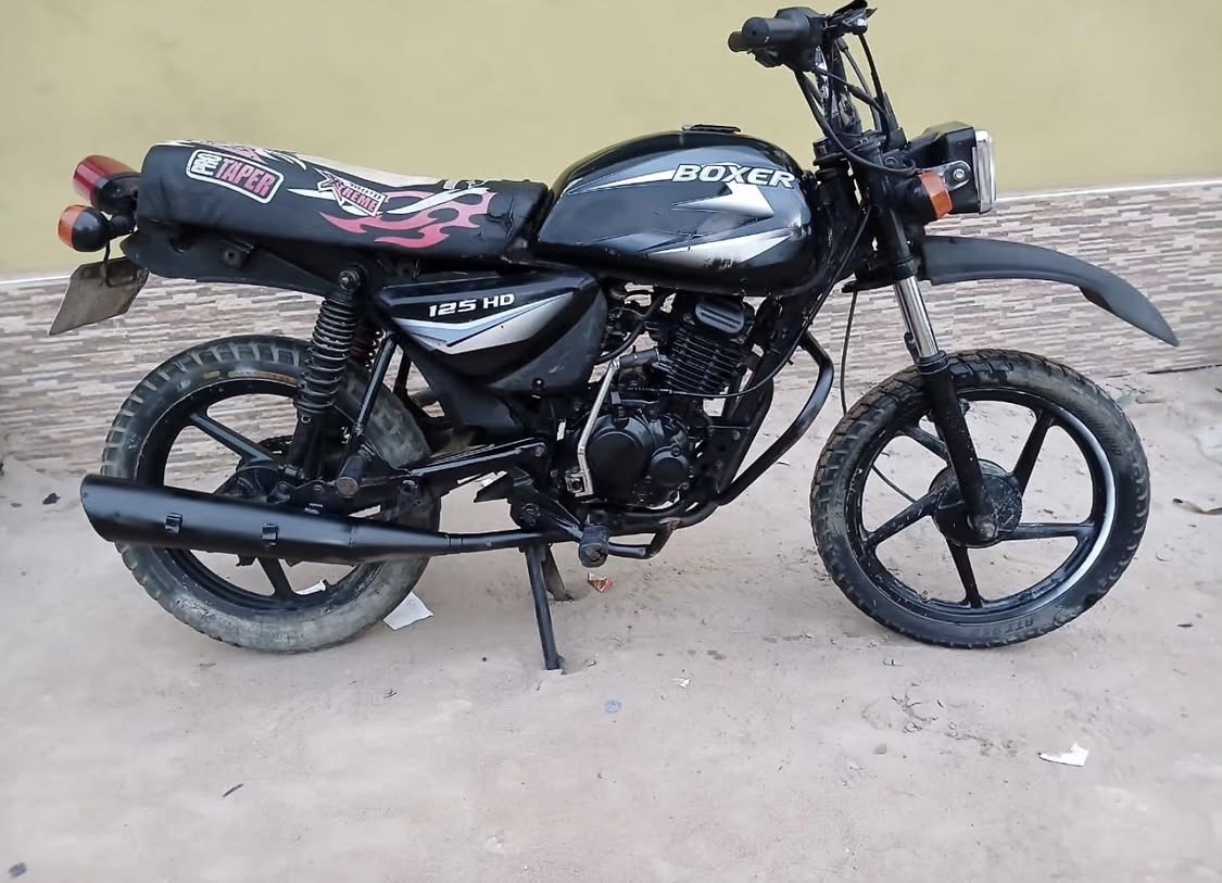 Boxer CXQ