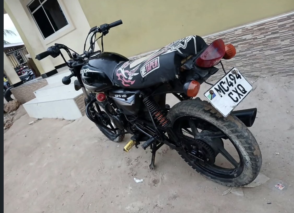 Boxer CXQ