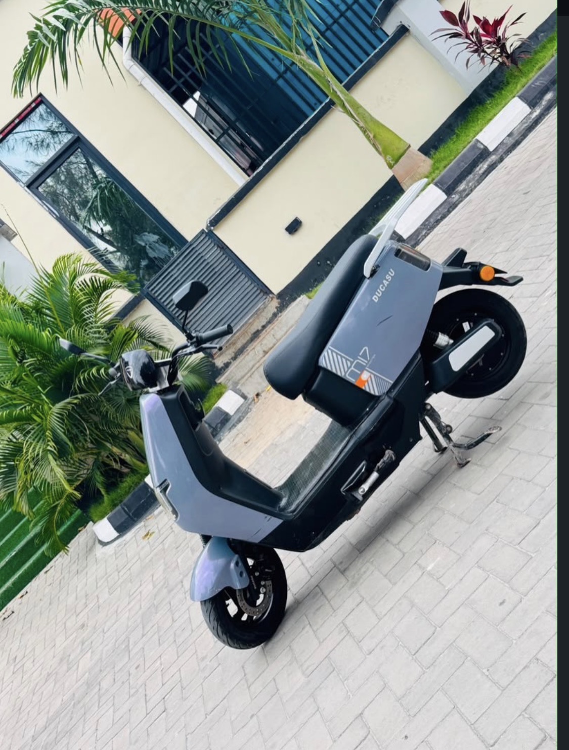 Ducasu