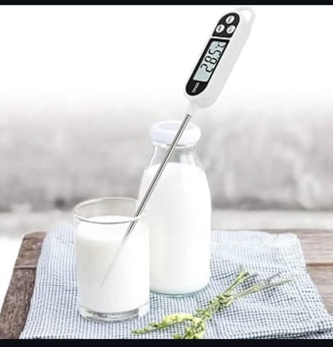 food thermometer