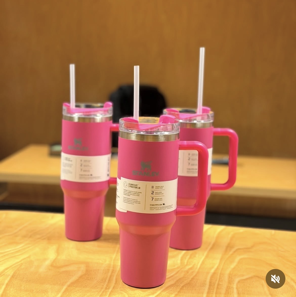 stanley tumbler