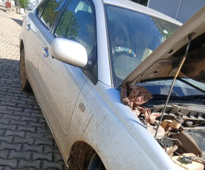 Toyota premio new