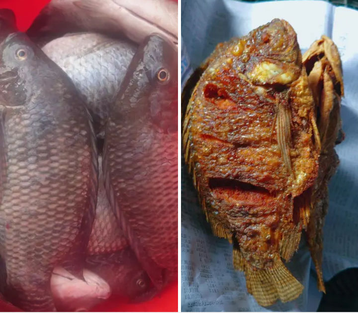 Samaki