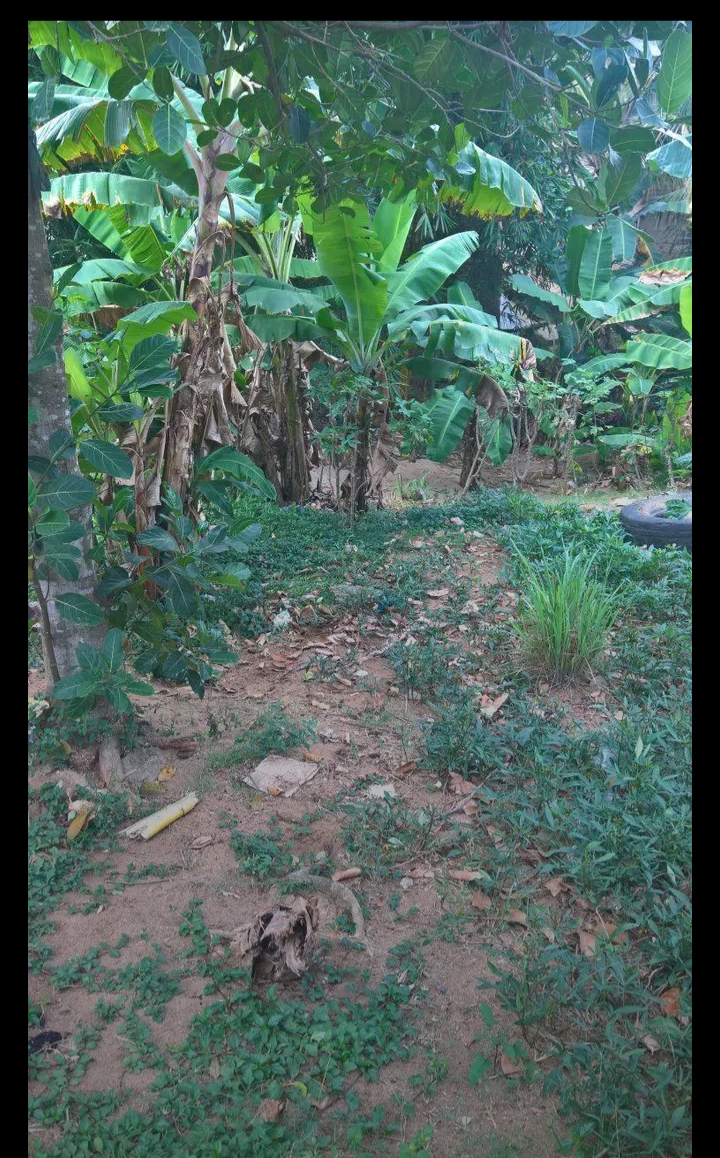 Kiwanja1