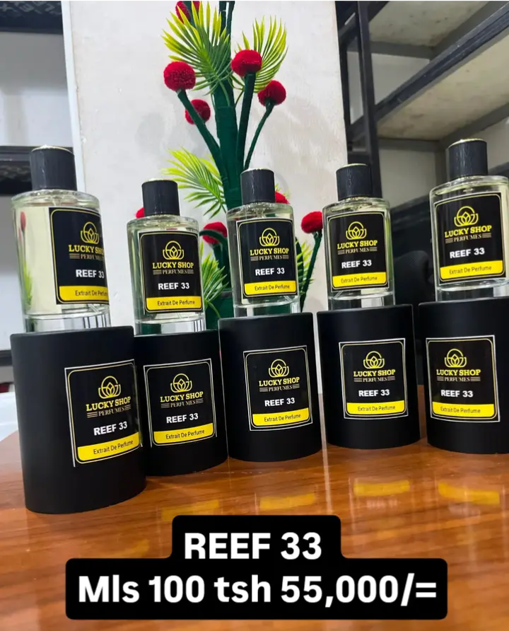 REEF 33