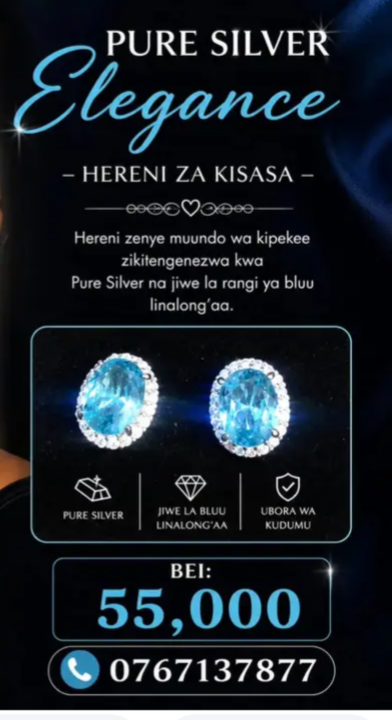 Pure silver elegance earrings