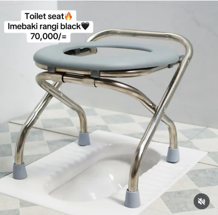 Toilet seat