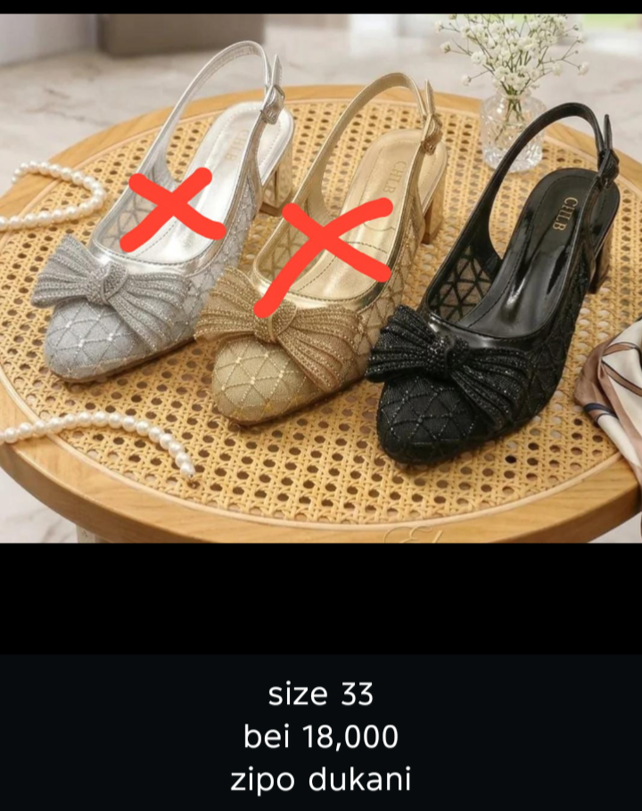 Ladies shoes A2
